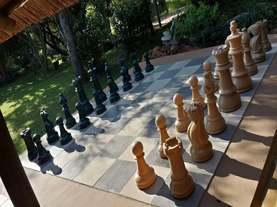 Skills chess