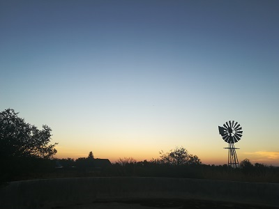 Farm views